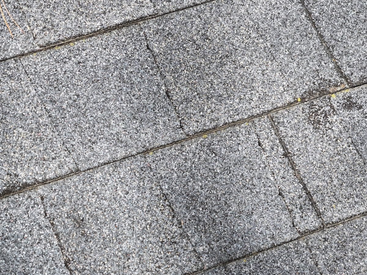 Worn asphalt shingles up close: granule loss, algae, and bare patches, from one of our inspections